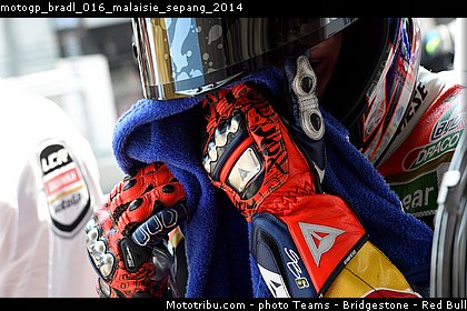 motogp_bradl_016_malaisie_sepang_2014.jpg