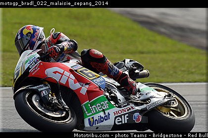 motogp_bradl_022_malaisie_sepang_2014.jpg