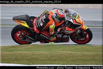 motogp_de_angelis_001_malaisie_sepang_2014.jpg