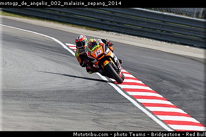 motogp_de_angelis_002_malaisie_sepang_2014.jpg