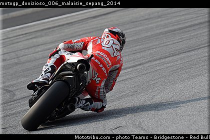 motogp_dovizioso_006_malaisie_sepang_2014.jpg