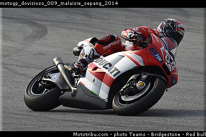 motogp_dovizioso_009_malaisie_sepang_2014.jpg