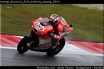 motogp_dovizioso_010_malaisie_sepang_2014.jpg