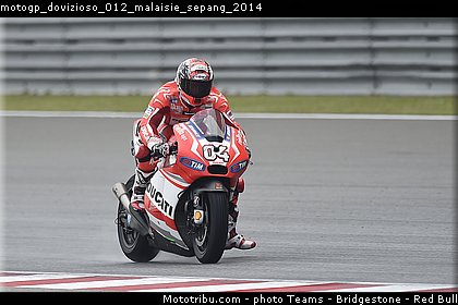 motogp_dovizioso_012_malaisie_sepang_2014.jpg