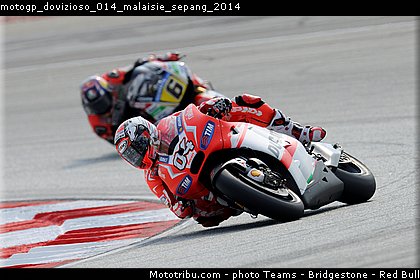 motogp_dovizioso_014_malaisie_sepang_2014.jpg