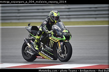 motogp_espargaro_p_004_malaisie_sepang_2014.jpg