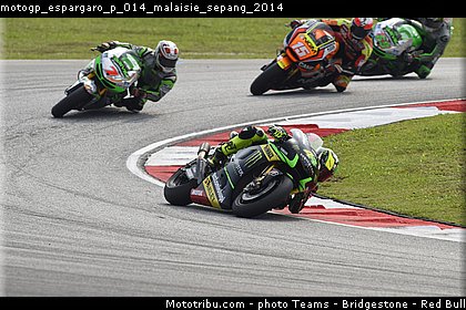 motogp_espargaro_p_014_malaisie_sepang_2014.jpg