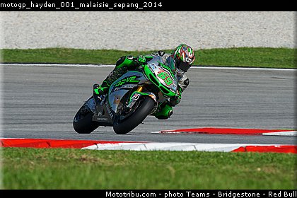 motogp_hayden_001_malaisie_sepang_2014.jpg