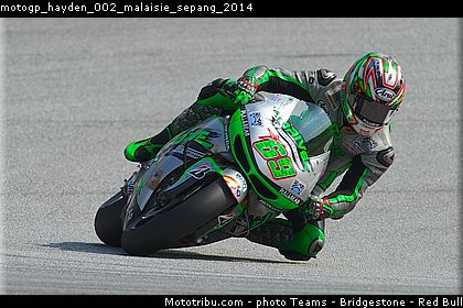 motogp_hayden_002_malaisie_sepang_2014.jpg