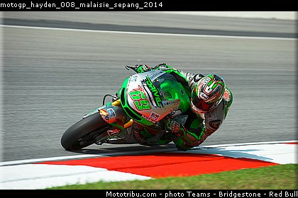 motogp_hayden_008_malaisie_sepang_2014.jpg