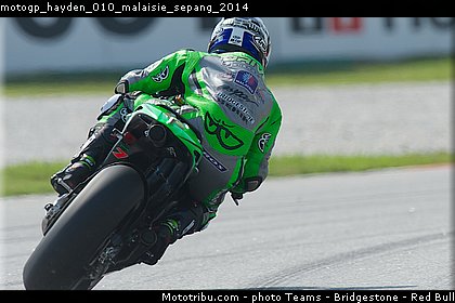 motogp_hayden_010_malaisie_sepang_2014.jpg