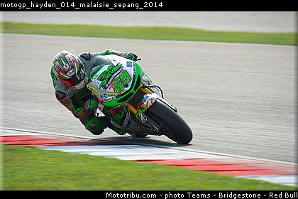 motogp_hayden_014_malaisie_sepang_2014.jpg