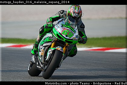 motogp_hayden_016_malaisie_sepang_2014.jpg
