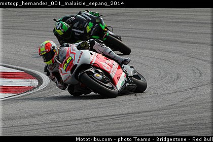 motogp_hernandez_001_malaisie_sepang_2014.jpg