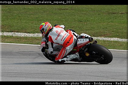 motogp_hernandez_002_malaisie_sepang_2014.jpg