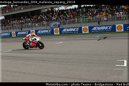 motogp_hernandez_004_malaisie_sepang_2014.jpg