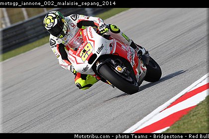 motogp_iannone_002_malaisie_sepang_2014.jpg