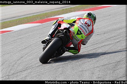 motogp_iannone_003_malaisie_sepang_2014.jpg