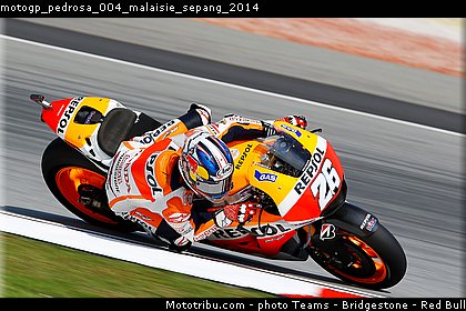 motogp_pedrosa_004_malaisie_sepang_2014.jpg