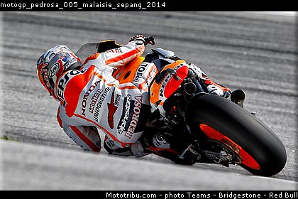 motogp_pedrosa_005_malaisie_sepang_2014.jpg
