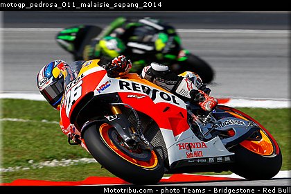 motogp_pedrosa_011_malaisie_sepang_2014.jpg