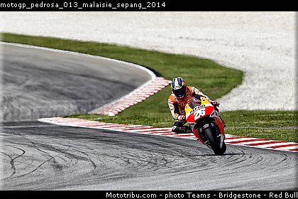 motogp_pedrosa_013_malaisie_sepang_2014.jpg
