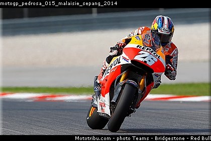 motogp_pedrosa_015_malaisie_sepang_2014.jpg