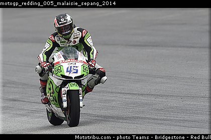 motogp_redding_005_malaisie_sepang_2014.jpg