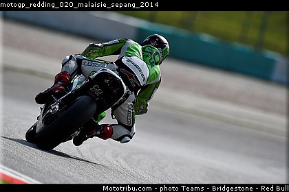 motogp_redding_020_malaisie_sepang_2014.jpg