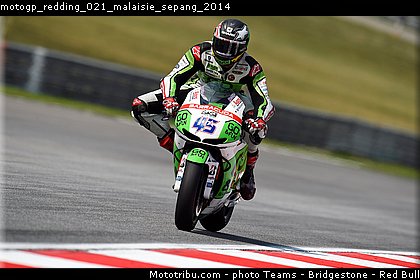 motogp_redding_021_malaisie_sepang_2014.jpg