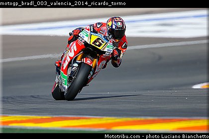 motogp_bradl_003_valencia_2014_ricardo_tormo.jpg