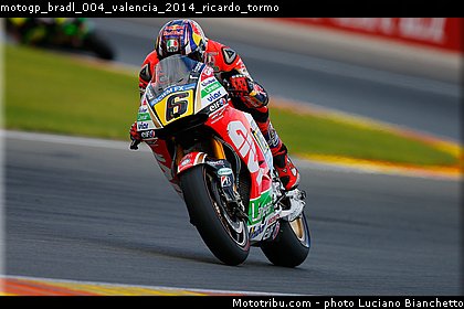 motogp_bradl_004_valencia_2014_ricardo_tormo.jpg