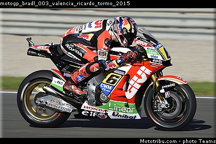 motogp_bradl_003_valencia_ricardo_tormo_2015.jpg