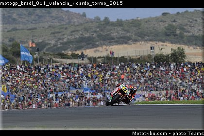 motogp_bradl_011_valencia_ricardo_tormo_2015.jpg