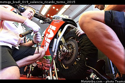 motogp_bradl_019_valencia_ricardo_tormo_2015.jpg
