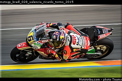 motogp_bradl_028_valencia_ricardo_tormo_2015.jpg