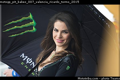 motogp_pit_babes_007_valencia_ricardo_tormo_2015.jpg