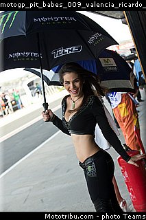 motogp_pit_babes_009_valencia_ricardo_tormo_2015.jpg