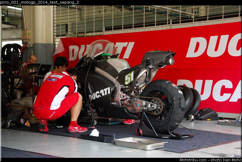 pirro_001_motogp_2014_test_sepang_2