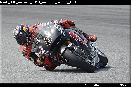bradl_005_motogp_2014_malaisie_sepang_test.jpg