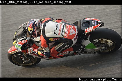 bradl_056_motogp_2014_malaisie_sepang_test.jpg