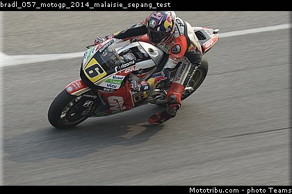 bradl_057_motogp_2014_malaisie_sepang_test.jpg