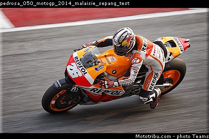 pedrosa_050_motogp_2014_malaisie_sepang_test.jpg