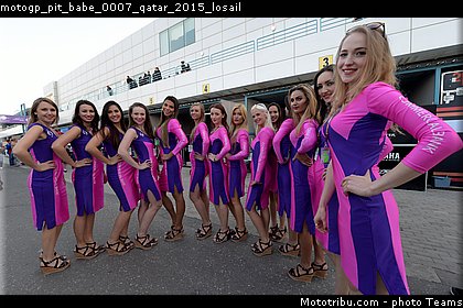 motogp_pit_babe_0007_qatar_2015_losail.jpg