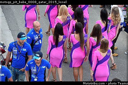 motogp_pit_babe_0008_qatar_2015_losail.jpg