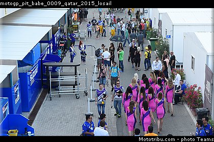 motogp_pit_babe_0009_qatar_2015_losail.jpg