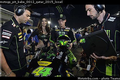 motogp_pit_babe_0012_qatar_2015_losail.jpg