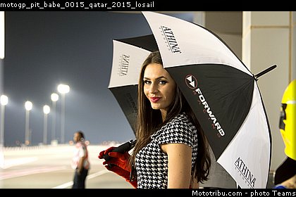 motogp_pit_babe_0015_qatar_2015_losail.jpg