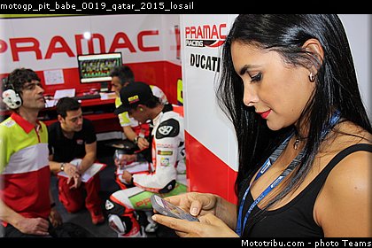 motogp_pit_babe_0019_qatar_2015_losail.jpg