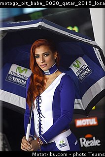 motogp_pit_babe_0020_qatar_2015_losail.jpg